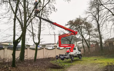 Boom Lift Indonesia, Importir Resmi Boom Lift di Indonesia